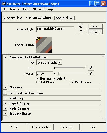   Attribute Editor